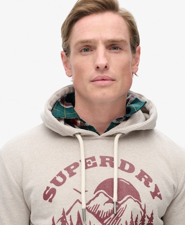 Superdry & Co - Sudadera en beige