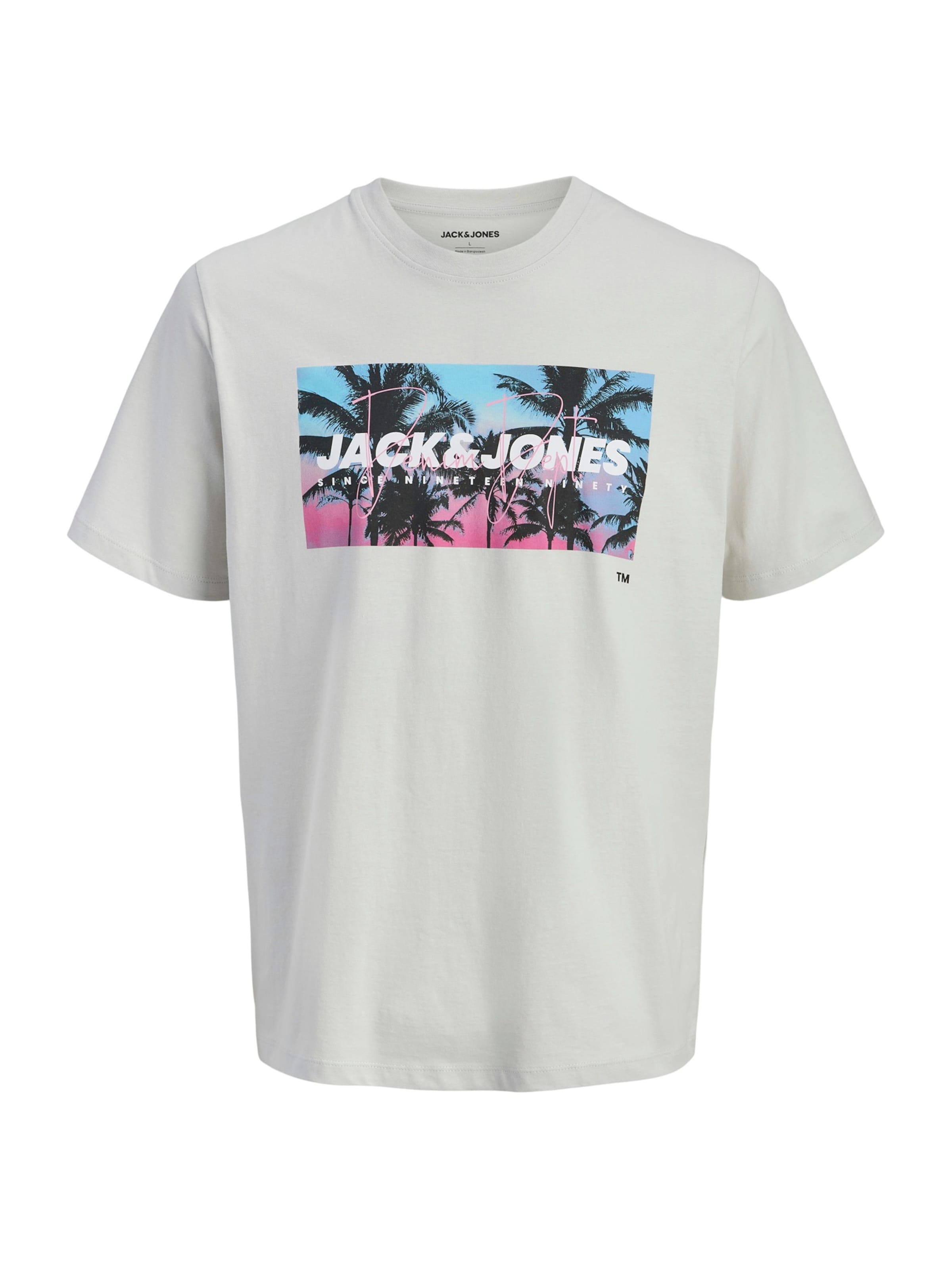 Maglietta 'JJINDIANA' di JACK & JONES in grigio: frontale