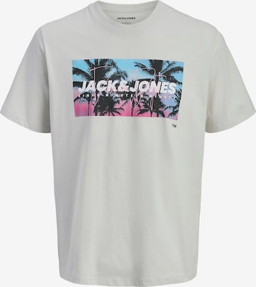 Maglietta 'JJINDIANA' di JACK & JONES in grigio: frontale