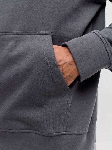 JACK & JONES Sweatshirt 'JJEArchive' in Grey