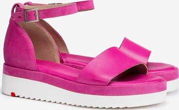 LLOYD Strap Sandals in Pink