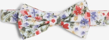Finshley & Harding London Bow Tie in Blue: front