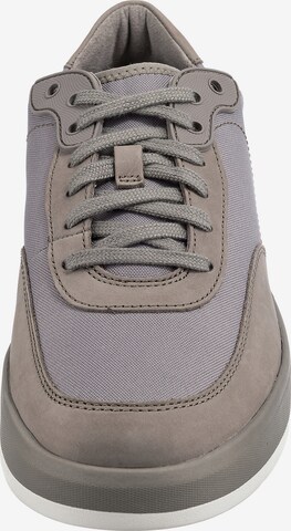 TIMBERLAND Sneakers 'Supaway' in Grey