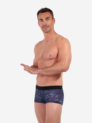 Boxers ' Star Island ' HOM en bleu