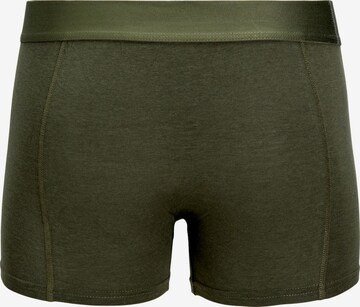 JACK & JONES Boxershorts i blandade färger