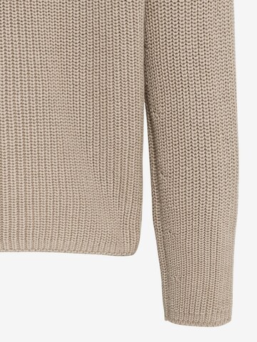 CAMEL ACTIVE Pullover in Braun