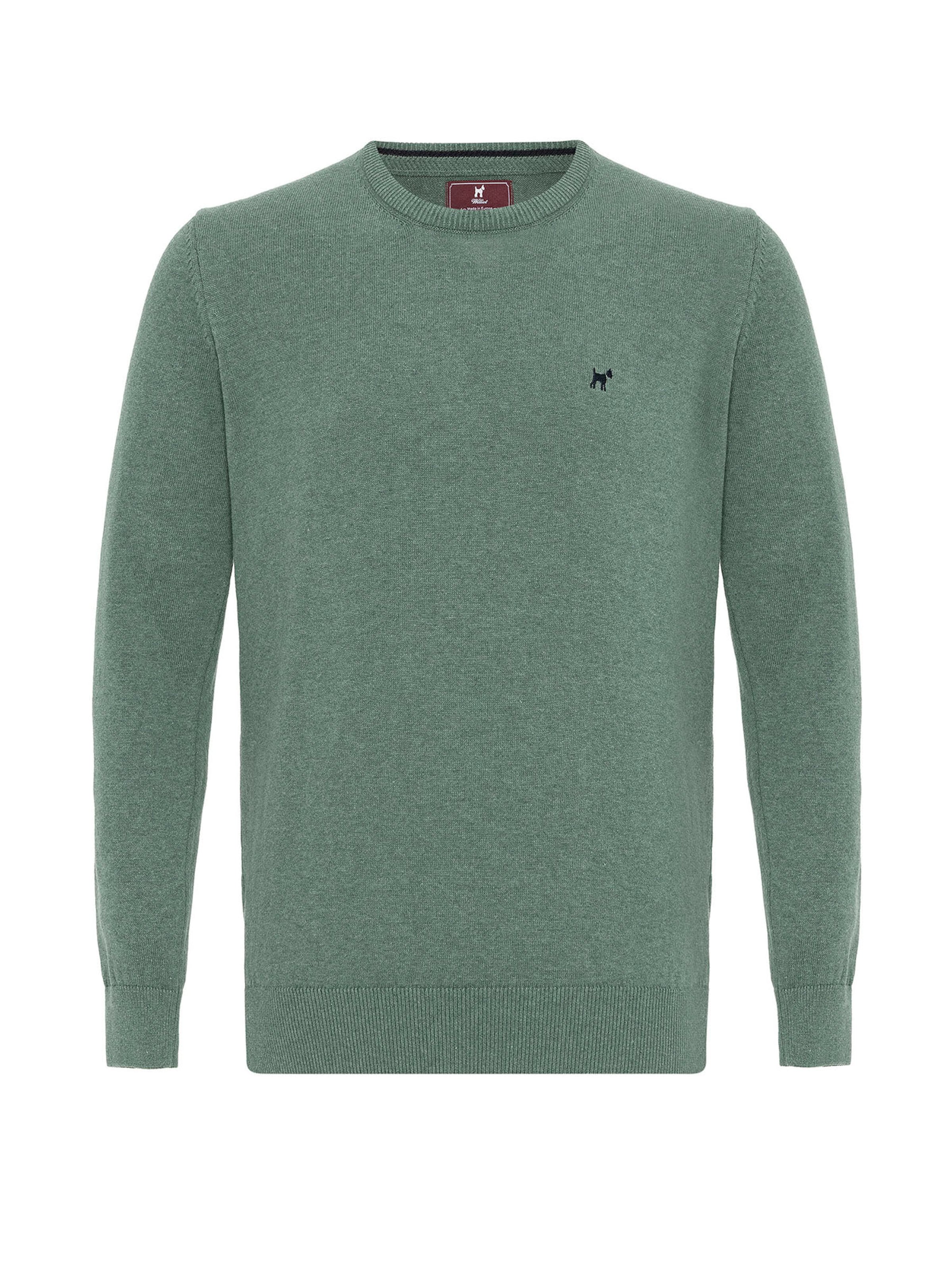 Williot Sweater in Green: front