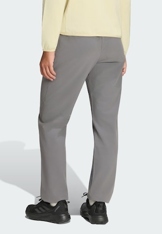 Regular Pantalon outdoor 'Liteflex' ADIDAS TERREX en gris