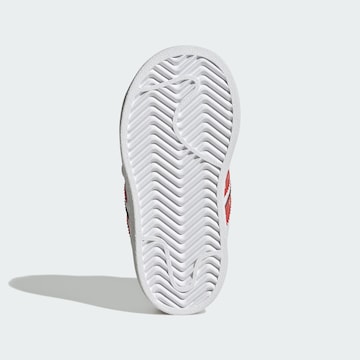 Sneaker 'Adidas Disney Superstar' di ADIDAS ORIGINALS in bianco