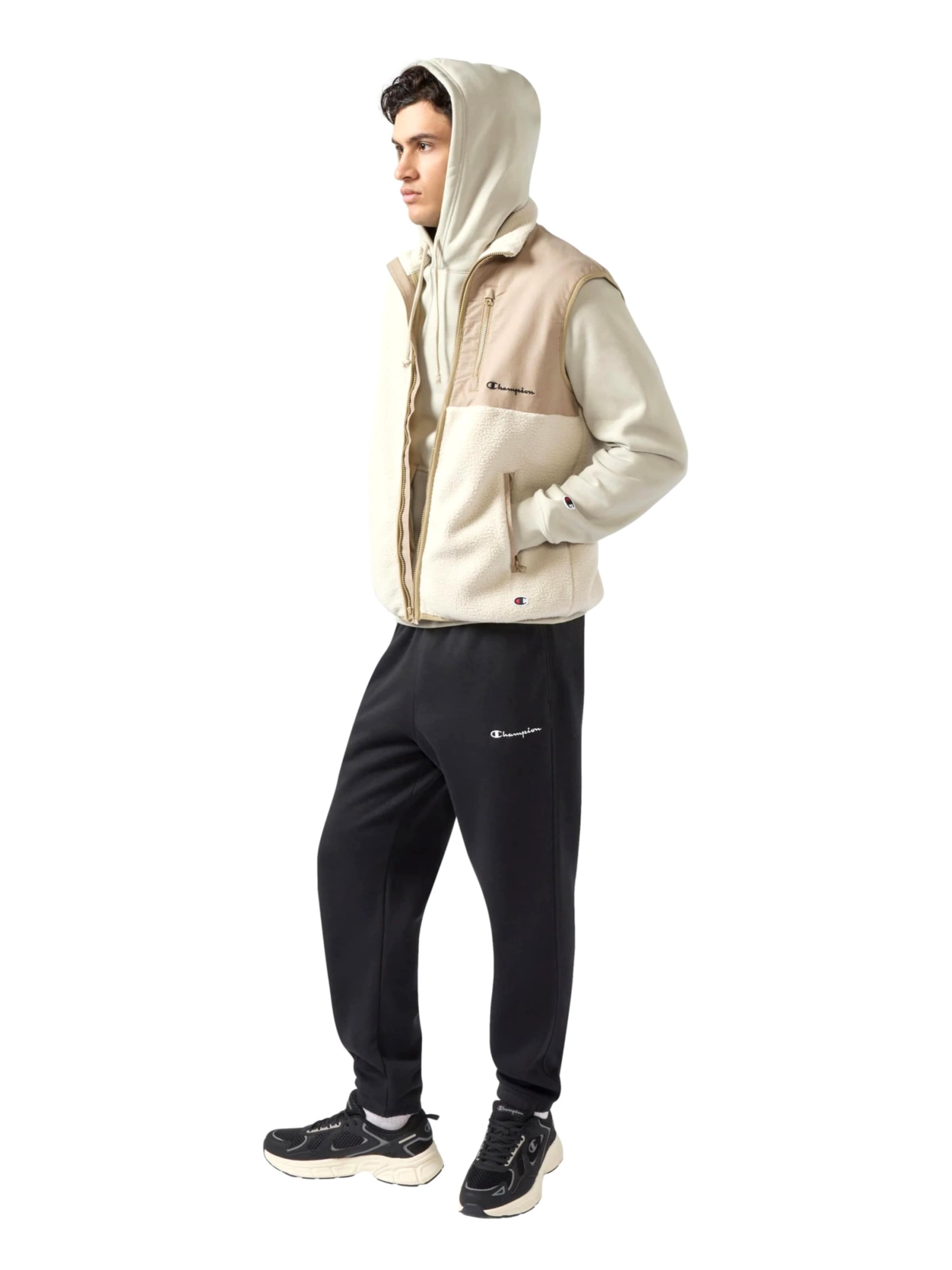 Pullover di Champion Authentic Athletic Apparel in beige