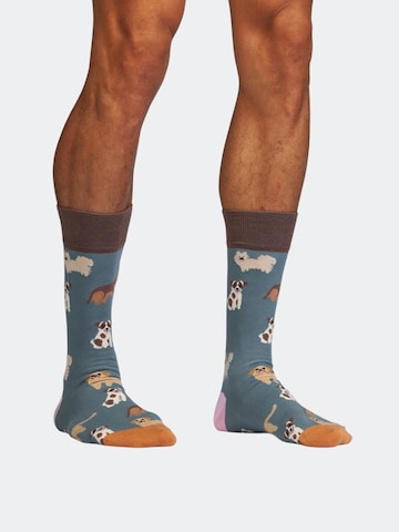 Chaussettes 'Animal Attitude' DillySocks en mélange de couleurs : devant