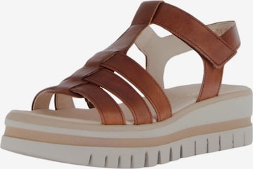 GABOR Sandale in Beige: Vorderseite