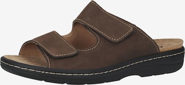 COSMOS COMFORT Mules in Brown: front
