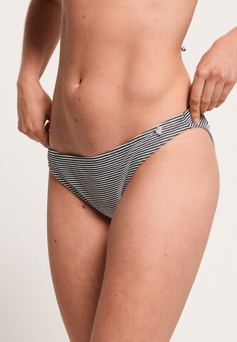 Superdry Bikini Bottoms in Black: front