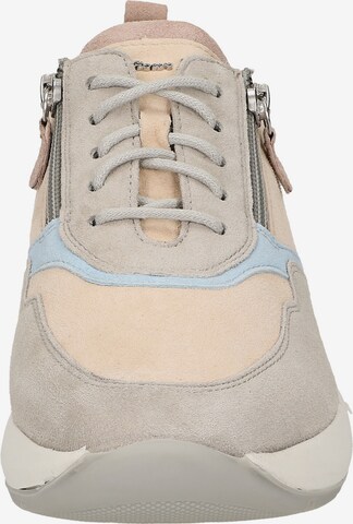 SIOUX Sneakers ' Segolia ' in Mixed colors