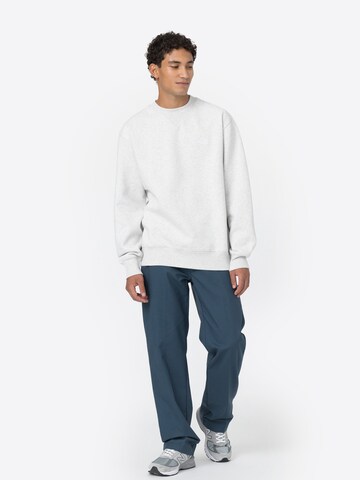 DICKIES Sweatshirt 'Summerdale' in Grau