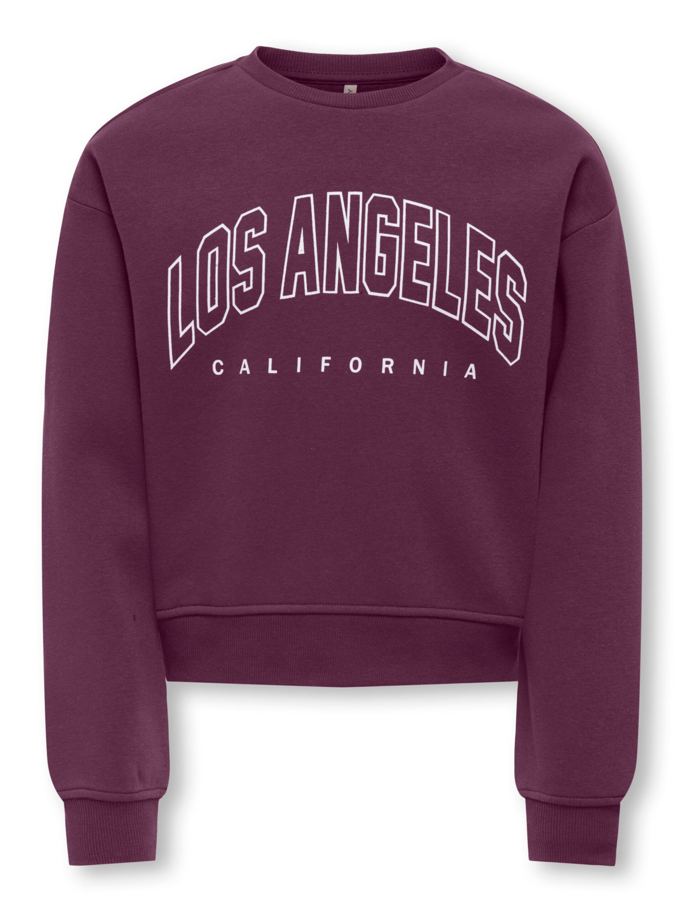 ONLY Sweatshirt in Purple: front