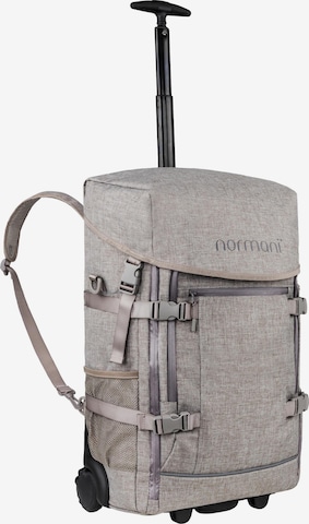 normani Trolley in Beige: Vorderseite