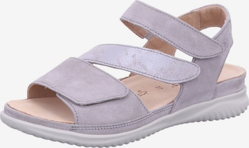 Sandales 'Sandalette Damen 132113534 4444 Echtleder in grau' Hartjes en gris : devant