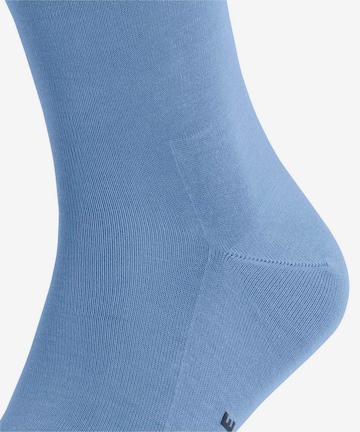 FALKE Sokken in Blauw