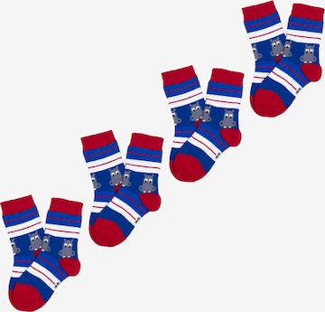 UNABUX Socks ' Prints ' in Mixed colours: front