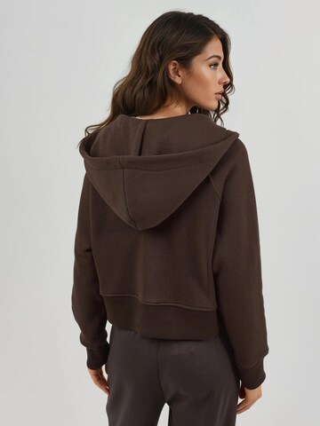 Sweat-shirt 'Kapuzenpullover' Hiccup en marron