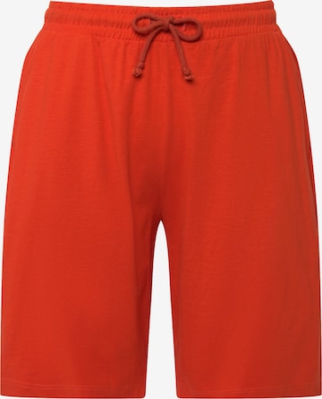 Ulla Popken Pants in Orange: front