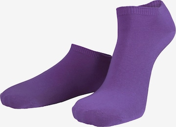 normani Socks in Purple