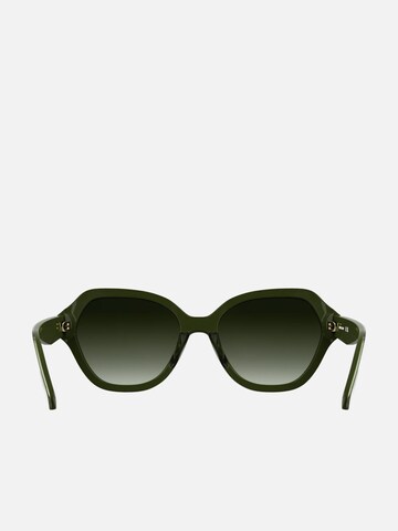 Longchamp Sunglasses in Green