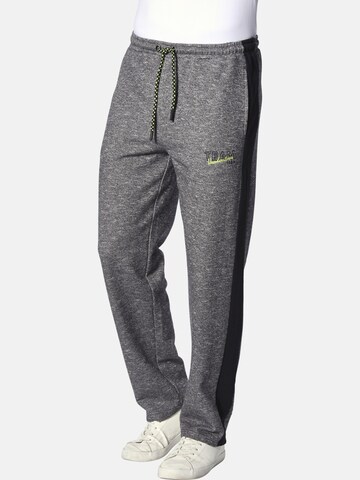 Loosefit Pantalon ' Ingdal ' Jan Vanderstorm en gris : devant