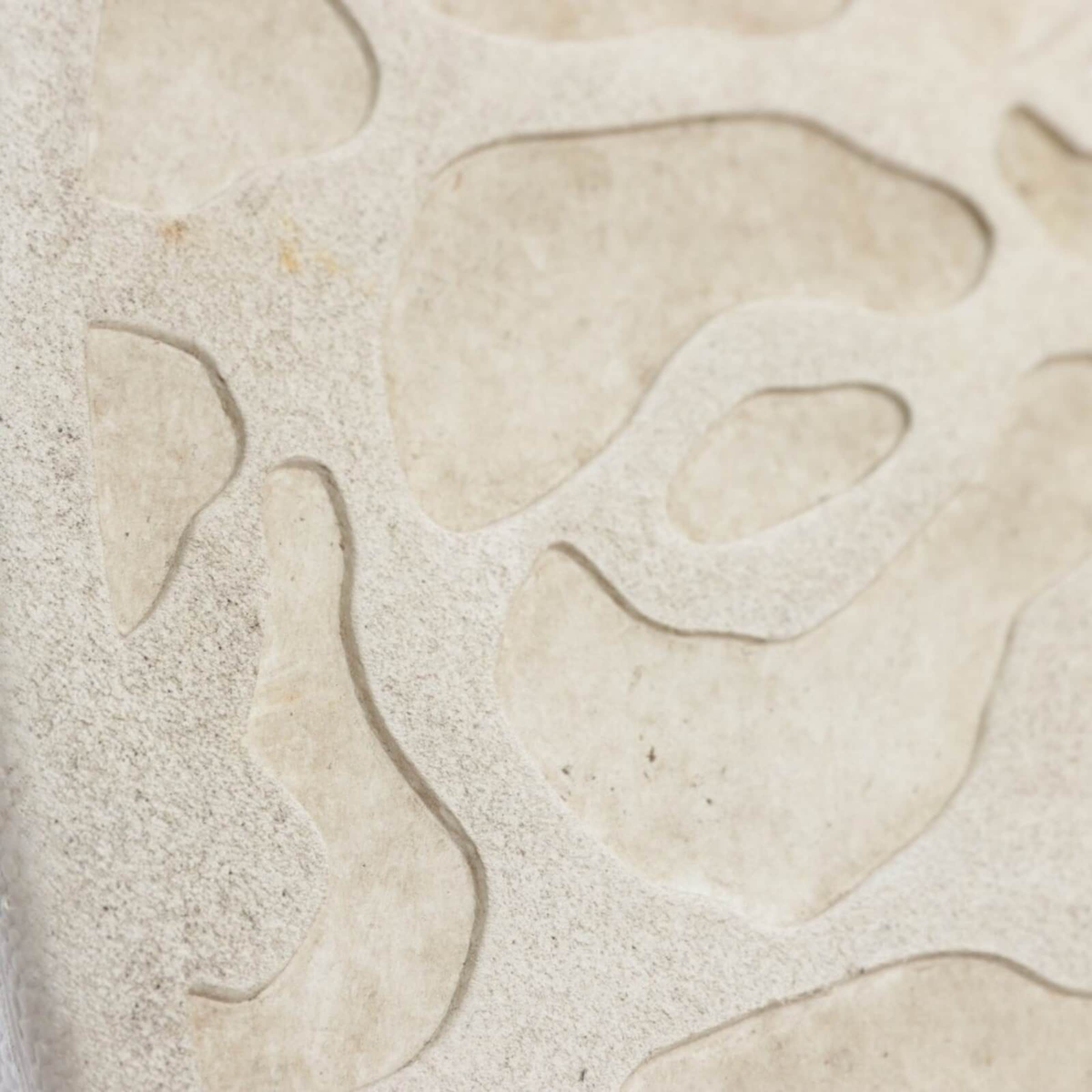 Alexander McQueen Sneakers & Trainers in 38,5 in Black