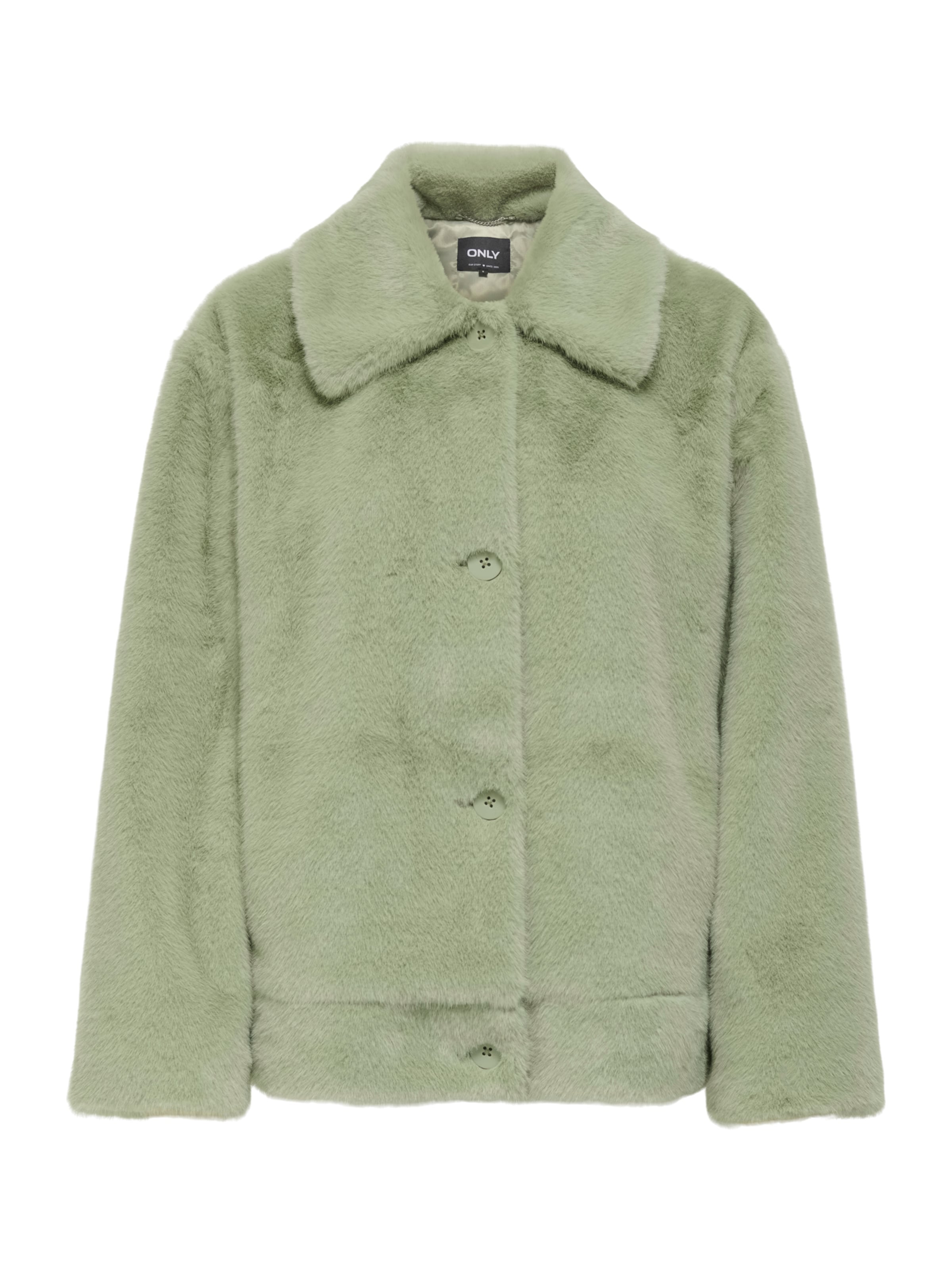 ONLY Демисезонная куртка 'ONLMEAGAN' в Зеленый: спереди