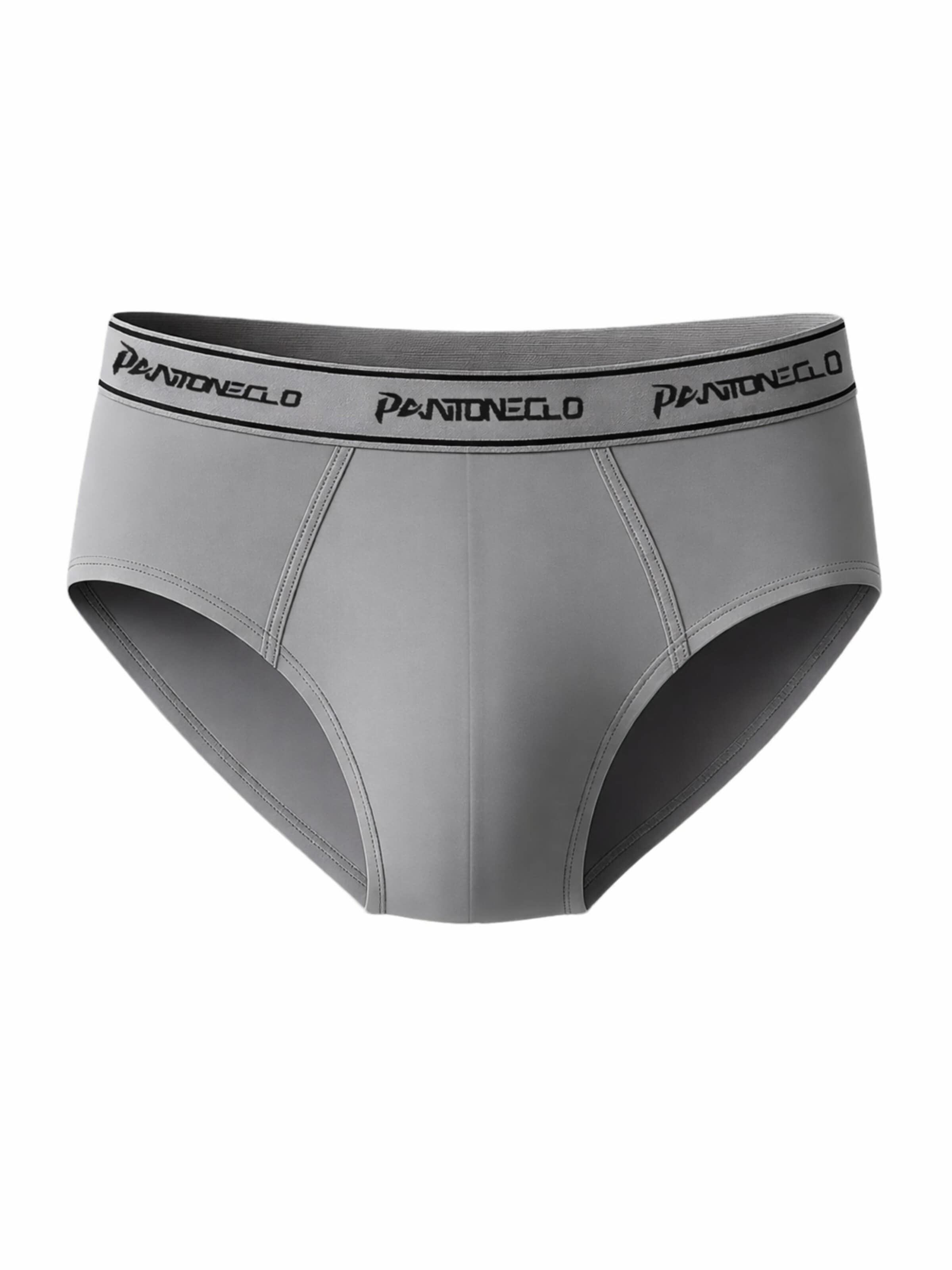 Slip 'Pantoneclo Men’s Boxer Brief Underwear' di PANTONECLO in grigio: frontale