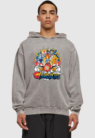 ABSOLUTE CULT Sweatshirt 'Thundercats - Group Shot' in Grey: front