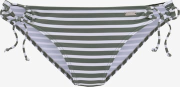 VENICE BEACH Bikini bottom in Green: front