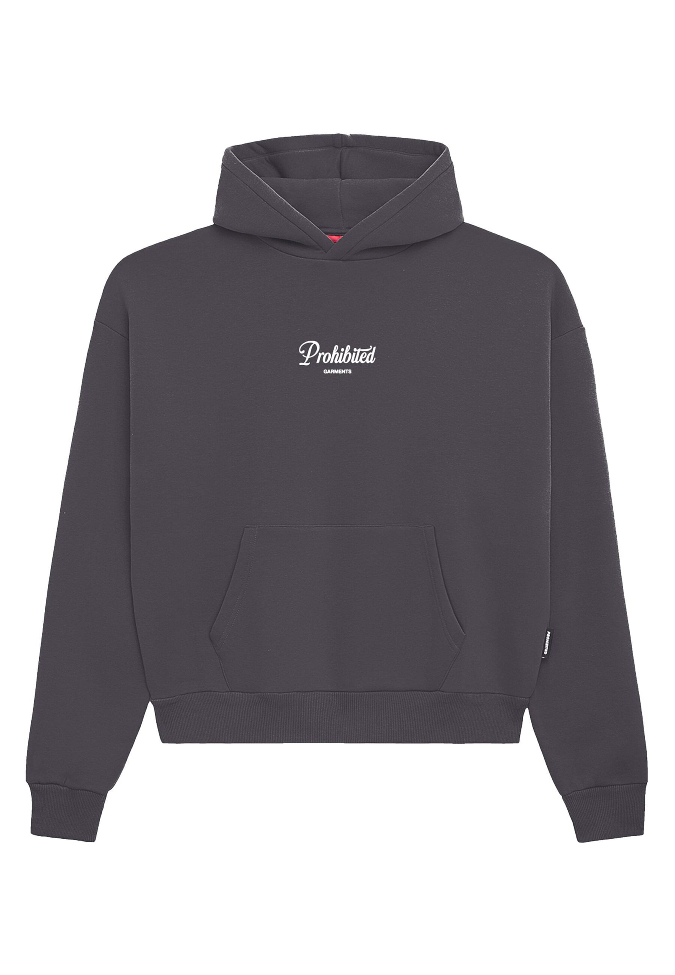Prohibited Sweatshirt in Grau: Vorderseite