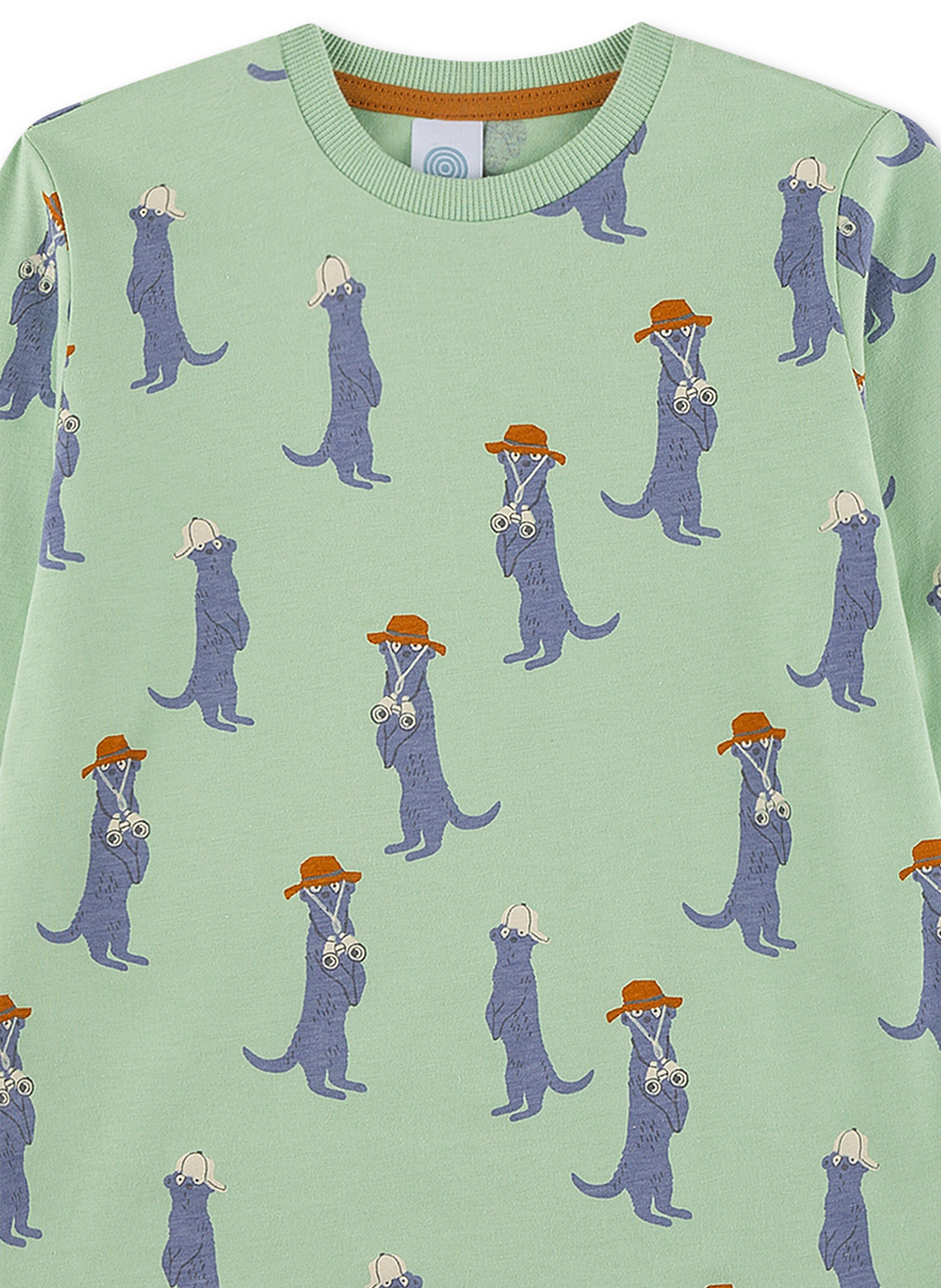 Sanetta Schlafanzug 'Erdmännchen' in Grün