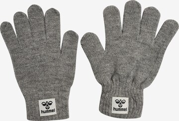 Hummel Gloves in Grey: front