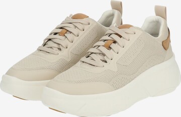 Sneaker bassa di GEOX in beige