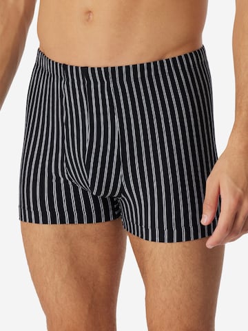 SCHIESSER Boxer shorts '95/5 Essentials Organic Cotton' in Black