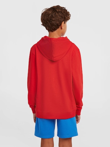 regular Pantaloni di O'NEILL in blu