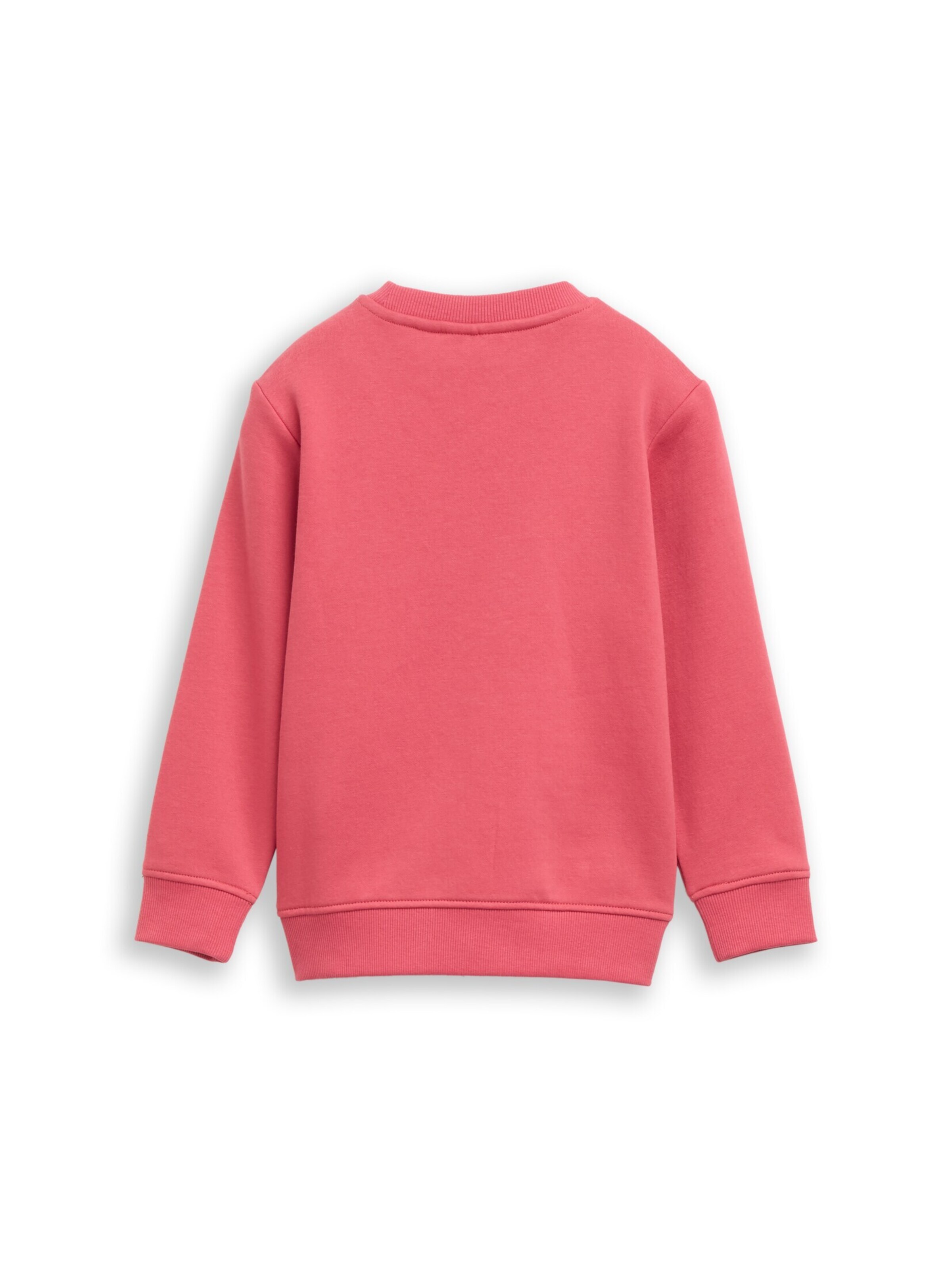 TOM TAILOR Sweatshirt in Rot