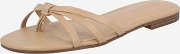 STEVE MADDEN Varbavaheplätu 'Calissi', värv beež: eest vaates