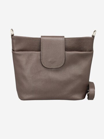 Brise Crossbody Bag 'Ellie' in Brown: front