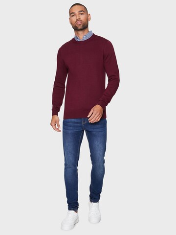 Threadbare Pullover 'Gibbs' i rød