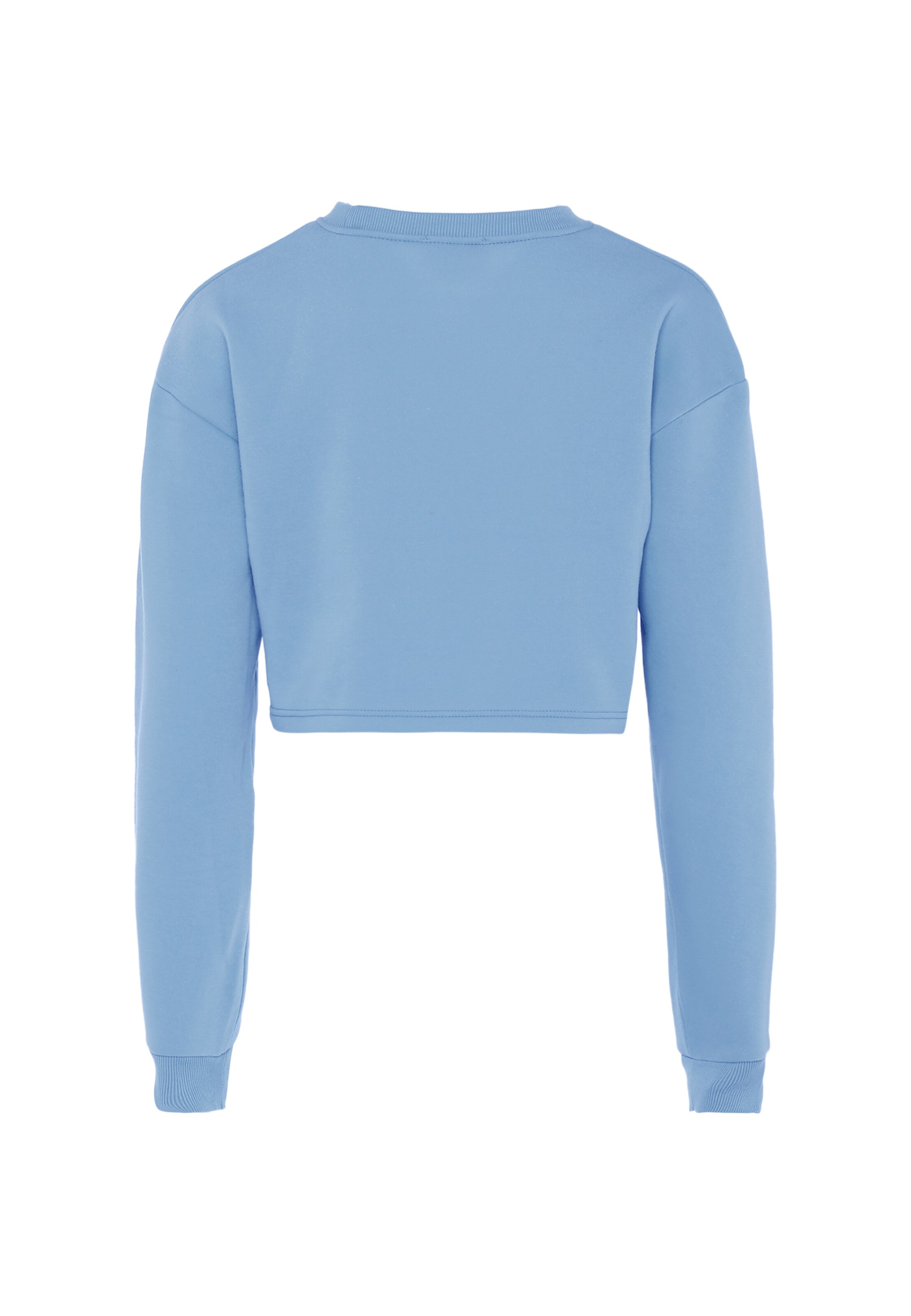 Colina Sweatshirt in Blau