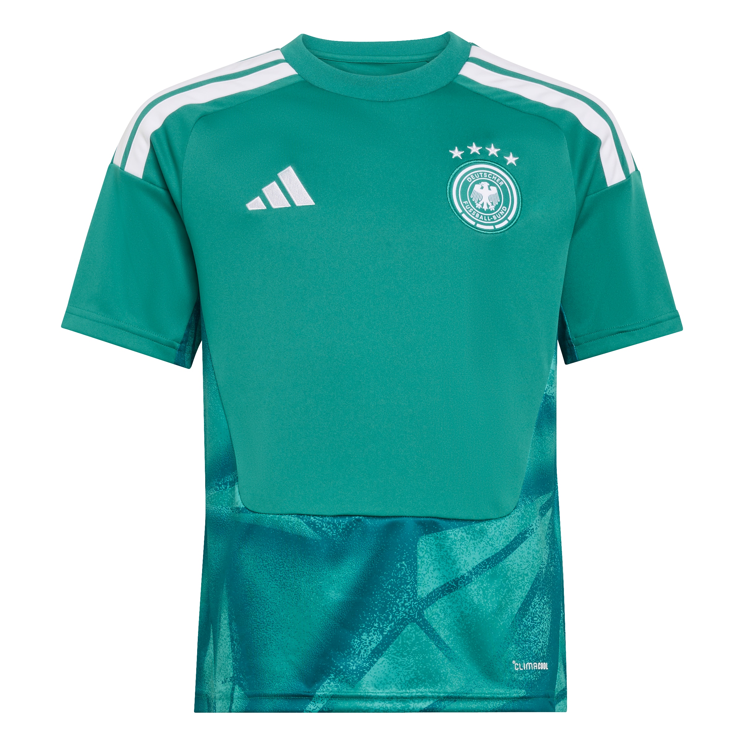 ADIDAS PERFORMANCE - Camiseta funcional 'DFB H GK JSY Y' en verde: frente