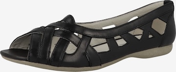 JOSEF SEIBEL Ballet Flats 'Fiona' in Black: front