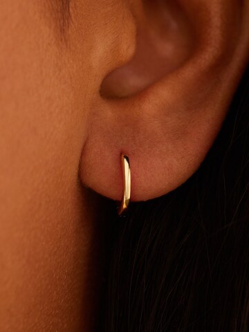 Boucles d'oreilles Lucardi en or : devant