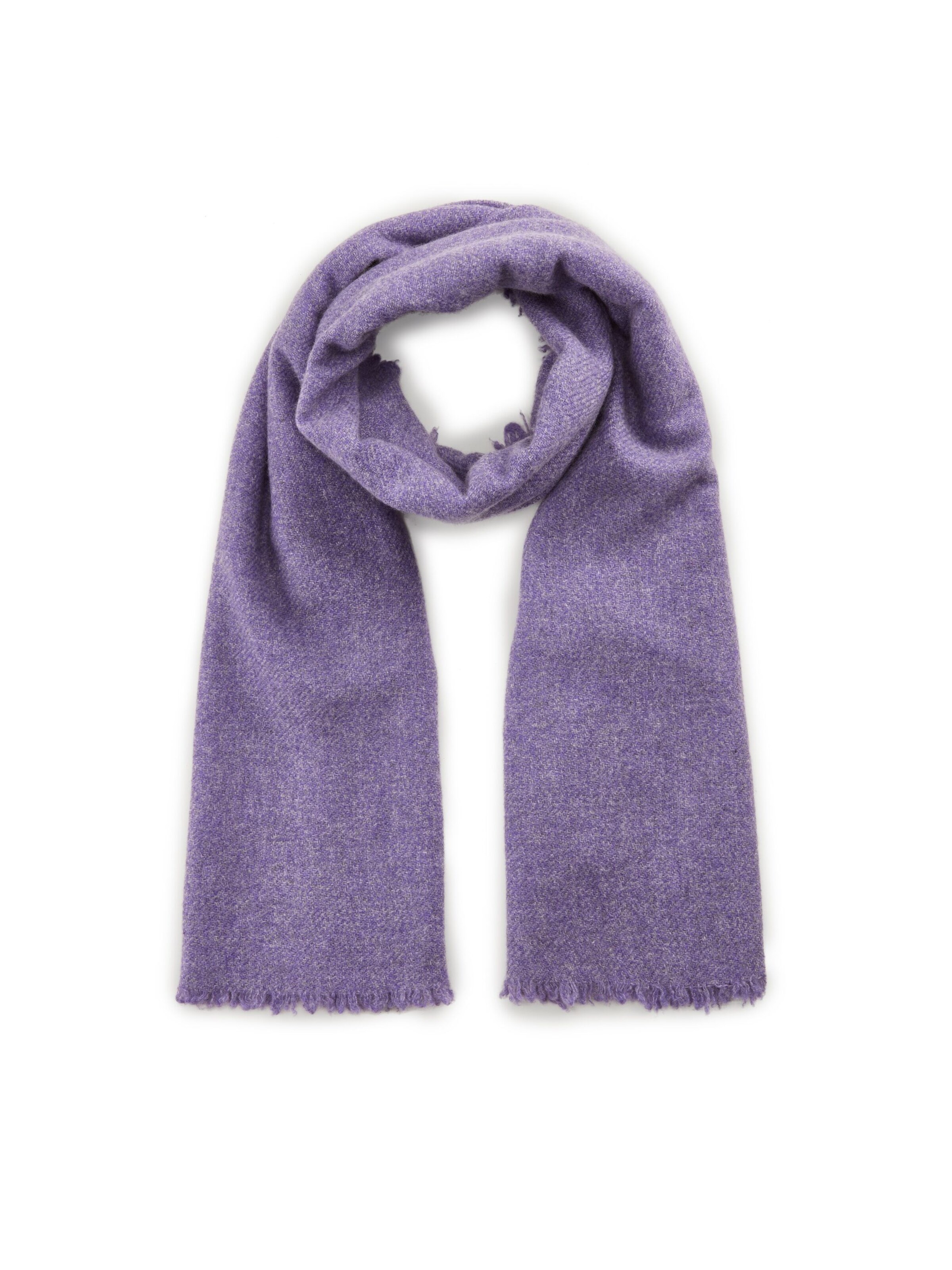 CODELLO Sjaal in Lila: voorkant